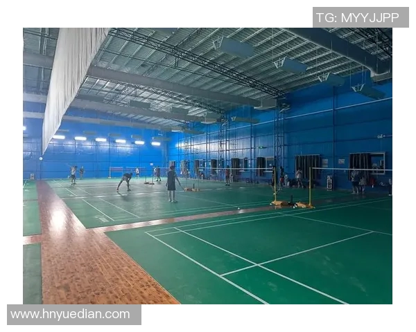 南京羽毛球队的耐力训练与比赛表现探讨聚焦羽毛球运动的未来发展